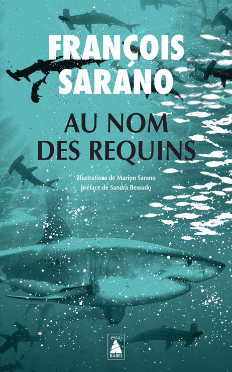 Au nom des requins